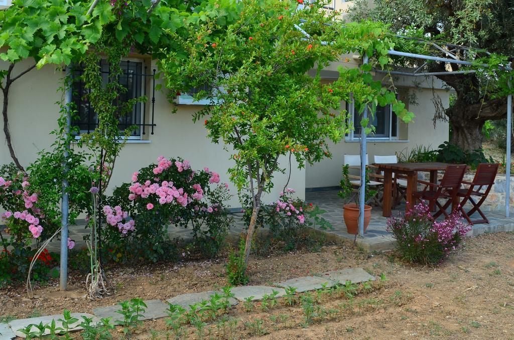 Villas Zoe Ksanemos Kültér fotó