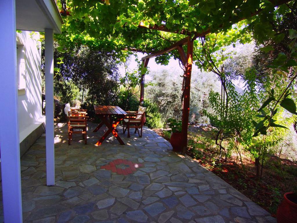 Villas Zoe Ksanemos Kültér fotó